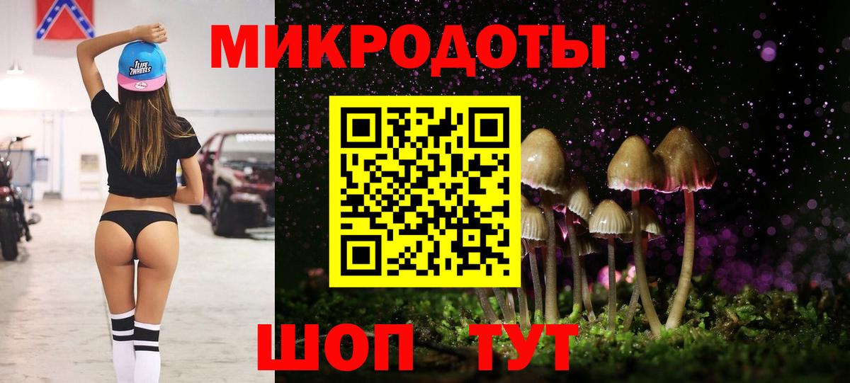 Псилоцибиновые грибы Psilocybine cubensis Саранск