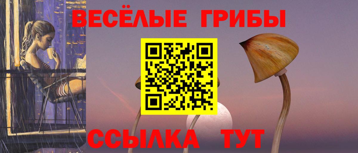 Псилоцибиновые грибы ЛСД  Вход с VPN  Саранск  Псилоцибиновые грибы Psilocybine cubensis 